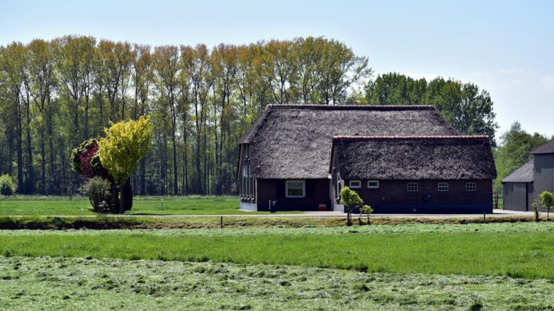 Duurzame raamdecoratie: zo combineer je stijl, comfort en energiebesparing in huis